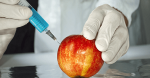 GMO apple getting treated by a doctor with a syringe and blue substance inside of it